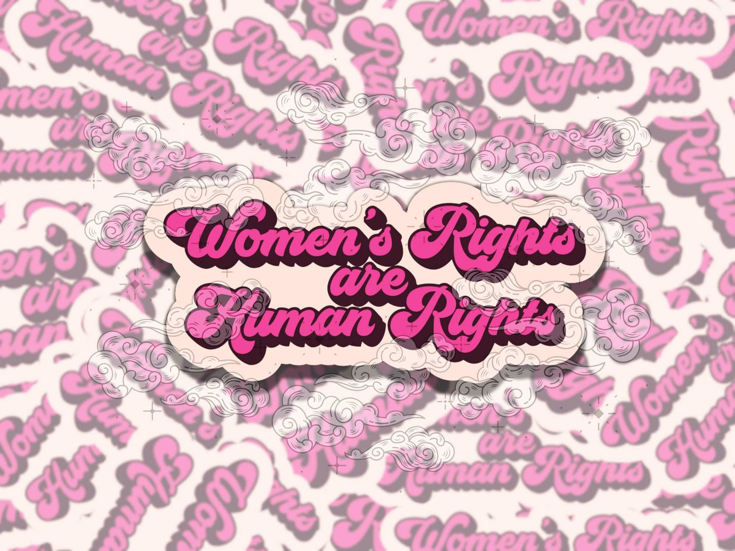 Women's Rights are Human Rights Cute Vinyl Sticker, Gift for Girl Friend, Sticker for Kindle Laptop Water Bottle Journal