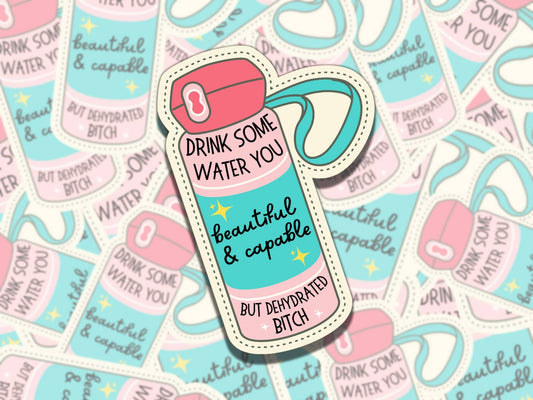 Drink Some Water You Dehydrated B*tch Mental Health Affirmation Sticker, Gift for Friend,  Sticker for Kindle Laptop Water Bottle