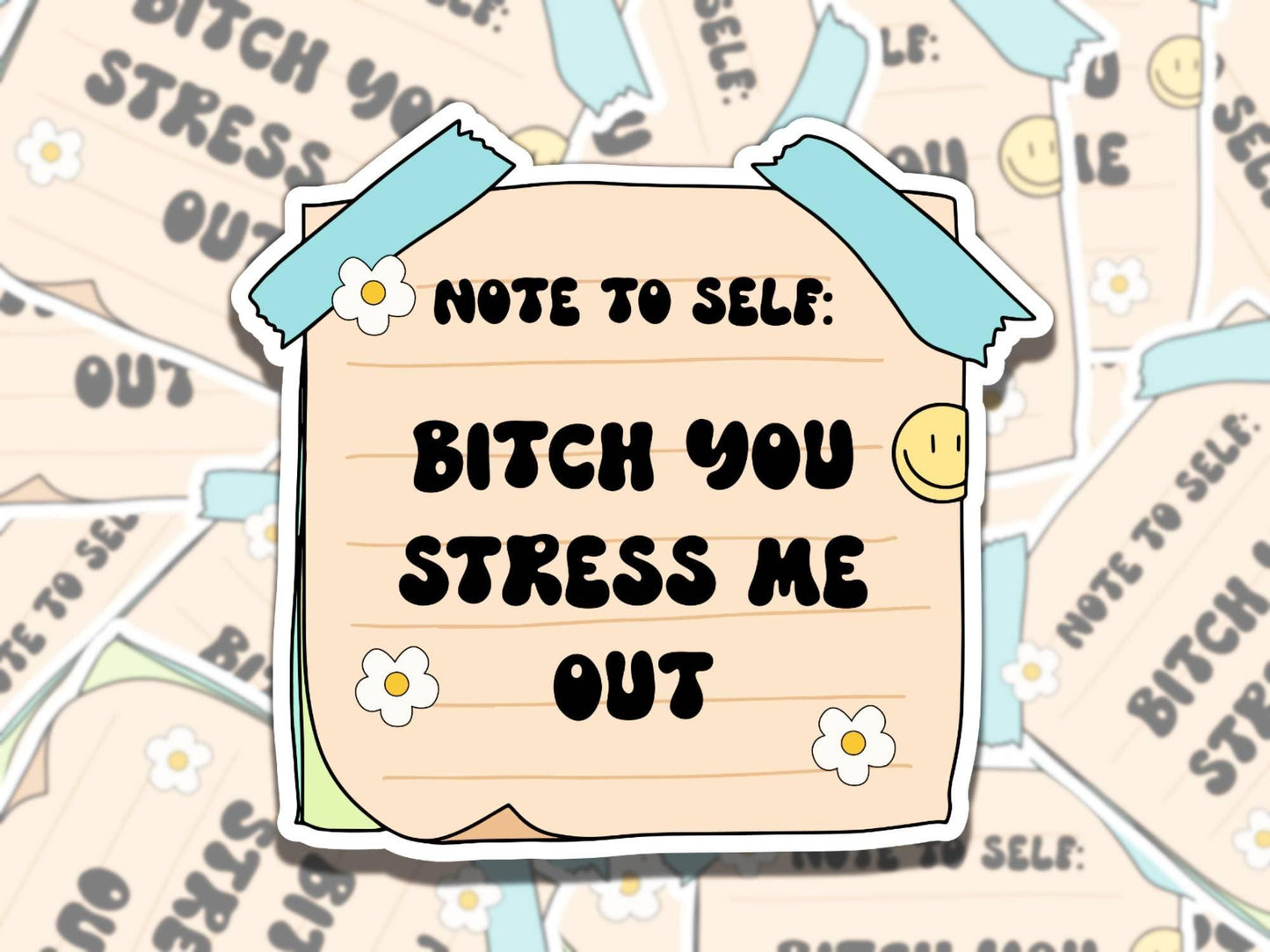 B*tch You Stress Me Out Sticker, Cute Note to Self Vinyl Sticker, Gift for Friend, Funny Sticker for Kindle Laptop Water Bottle Journal