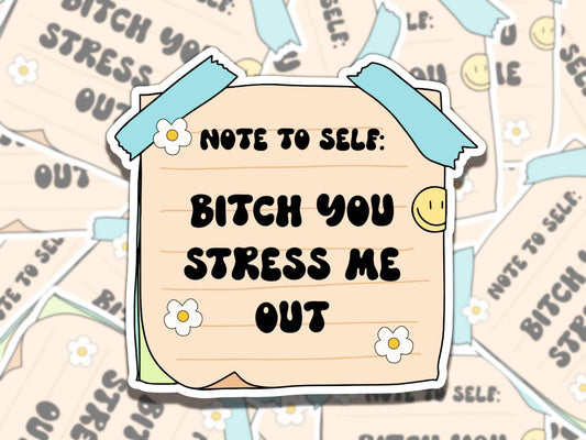 B*tch You Stress Me Out Sticker, Cute Note to Self Vinyl Sticker, Gift for Friend, Funny Sticker for Kindle Laptop Water Bottle Journal