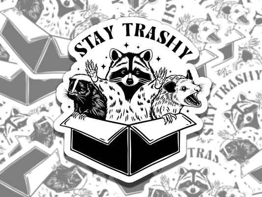 Stay Trashy Cute Raccoon Trash Can Waterproof Vinyl Sticker, Gift for Friend, Funny Sticker for Kindle Laptop Water Bottle Journal