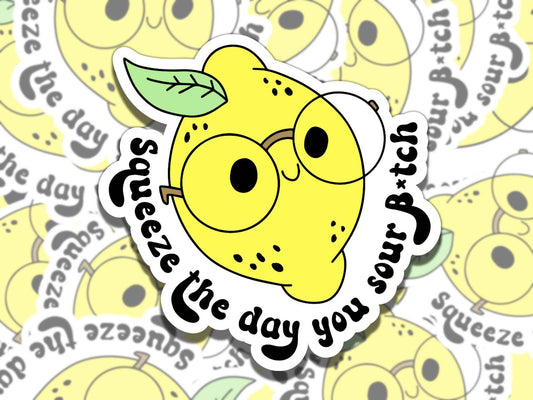 Squeeze the Day You Sour B*tch, Cute Lemon Vinyl Sticker, Gift for Friend, Funny Sticker for Kindle Laptop Water Bottle Journal