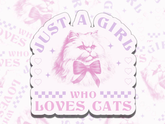 Cute funny waterproof vinyl sticker for cat lover, fun sticker gift for best friend, funny decal for laptop water bottle kindle